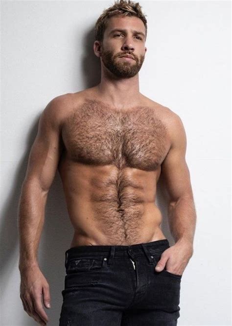 gay hairy chest men|BearHotel.